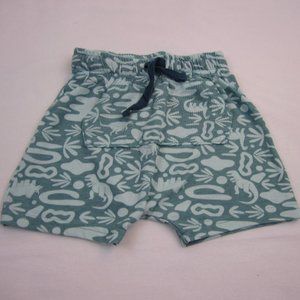 Toddler Woven Shorts size 2T